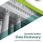Juvenile Justice Data Dictionary